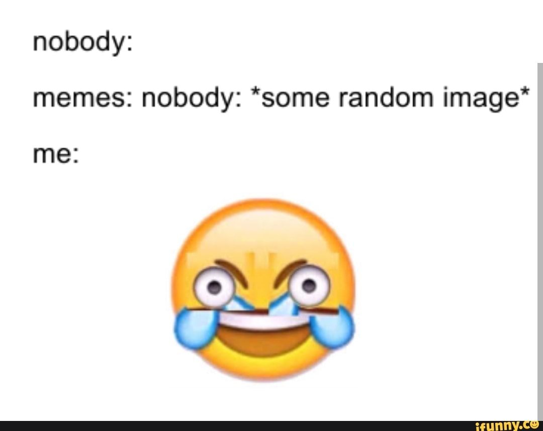 Nobody: memes: nobody: *some random image* me: - iFunny