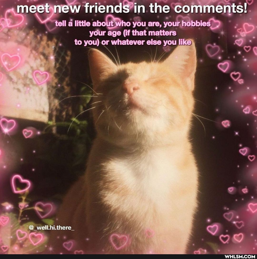 meet new friends in the comments! tell little about iWho you are, your. hobbies" your age (if that matters
to you) or whatever else you like
well. hithere