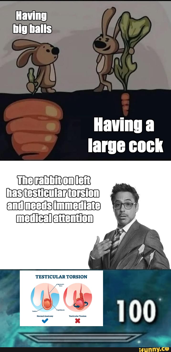 Having The fandineeds /immediate TESTICULAR TORSION (as 100 iFunny