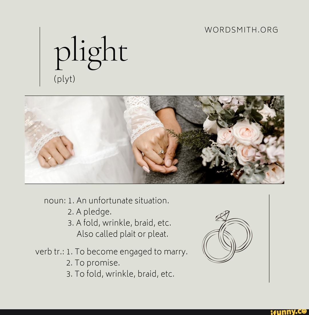 Noun verb tr. pli (plyt) noun 1. An unfortunate