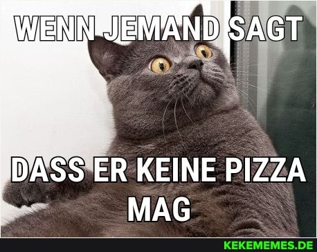 N NEMAND ISAGT
DASS ER KEINE PIZZA MAG