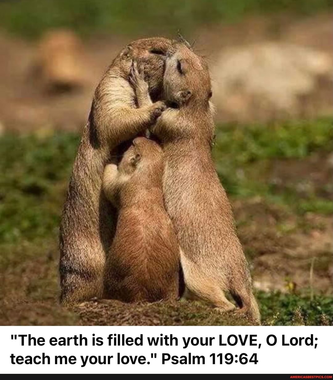 "The earth is filled with your LOVE, O Lord; teach me your love." Psalm