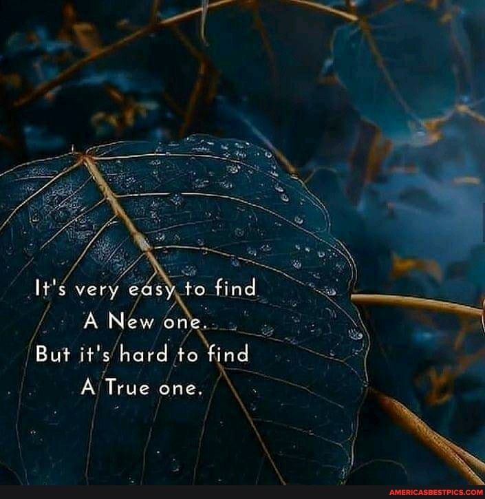 li's very easy to find
New
But it's hard to find
A True one