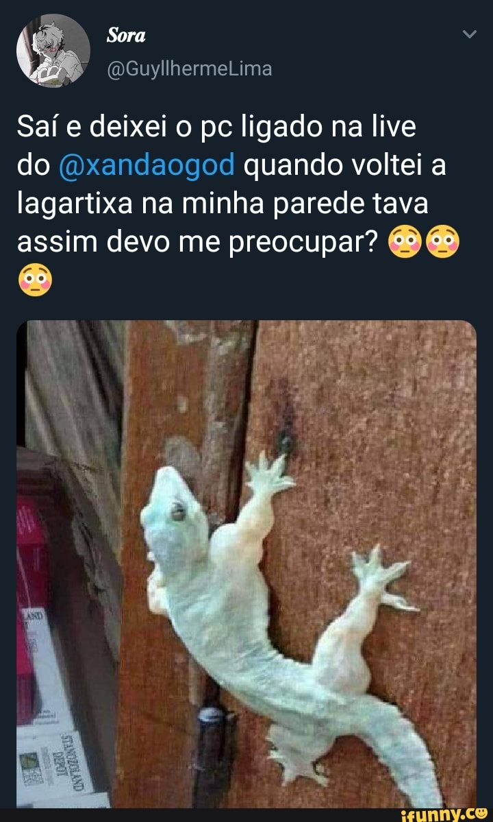 Sora
Saí e deixei o pc ligado na live do (dxandaogod quando voltei a lagartixa na minha parede tava assim devo me preocupar?
