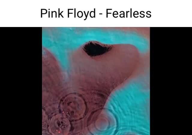 fearless pink floyd