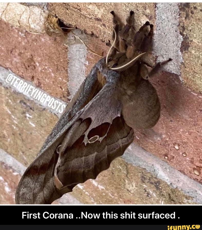 First Corana ..Now this shit surfaced .