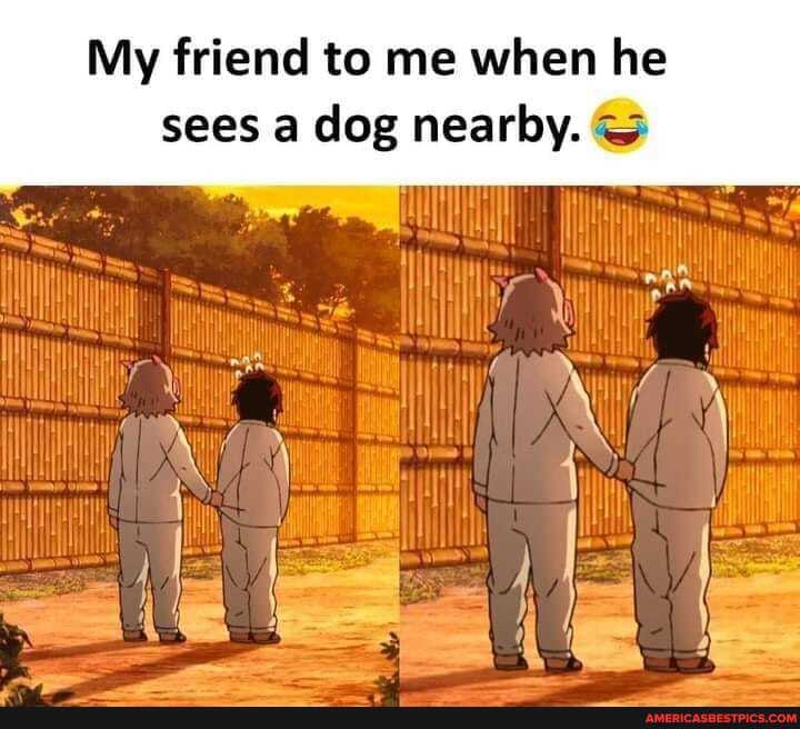 My friend to me when he sees a dog nearby.