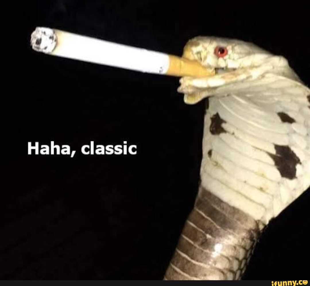 Haha, classic