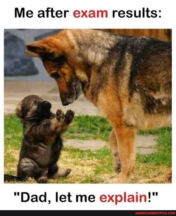 Me after exam results:
"Dad, let me explain!"