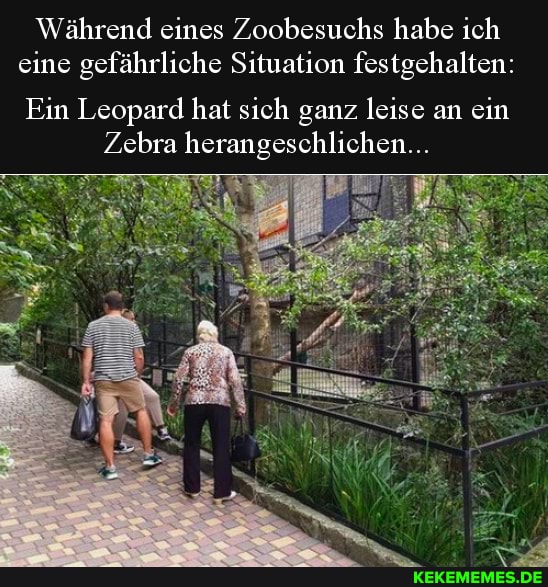 Während eines Zoobesuchs habe ich eine gefährliche Situation festgehalten:
Ein Leopard hat sich ganz leise an ein
Zebra herangeschlichen...