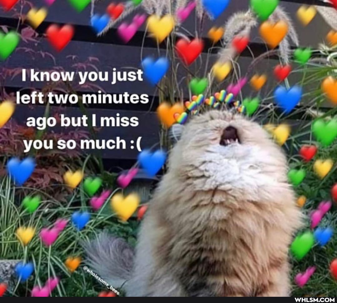 PR
know you just
, left two minutes
/ @go out miss you so much