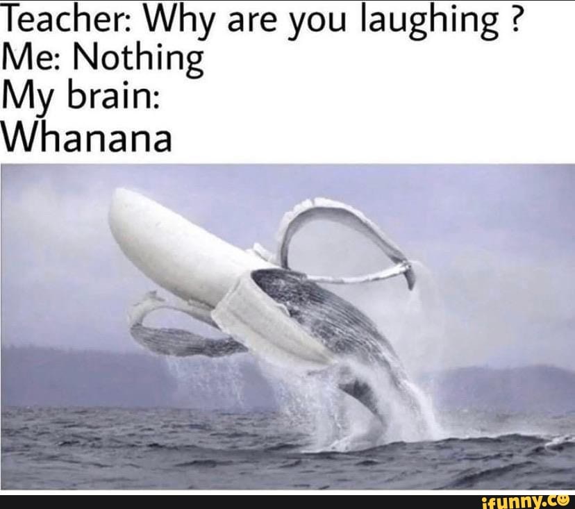 Teacher: Why are you laughing ? Me: Nothing My brain: Whanana - seo.title