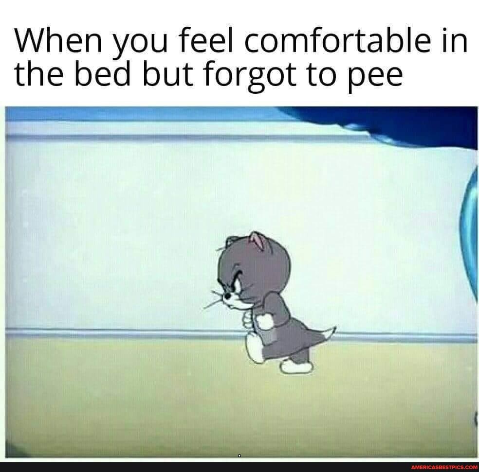 When you feel comfortable in the bed but forgot to pee