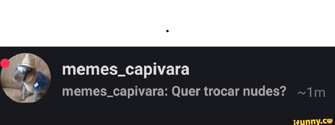 Memes Capivara Memes Capivara Quer Trocar Nudes Im Ifunny