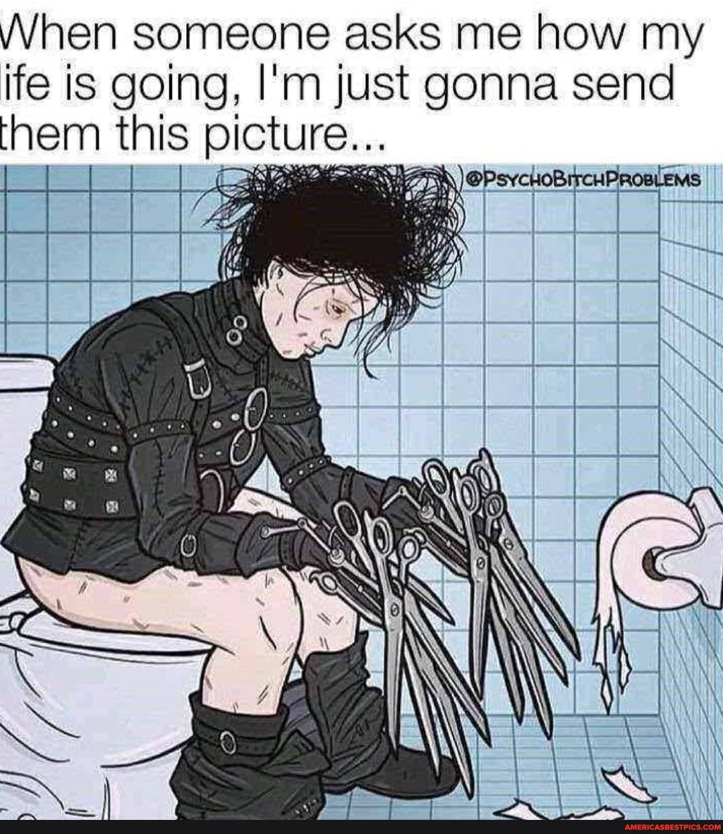When someone asks me how my ife is going, I'm just gonna send them this picture
LEE
