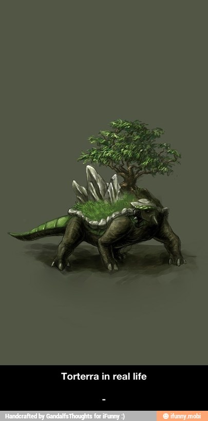 Torterra in real life - -
