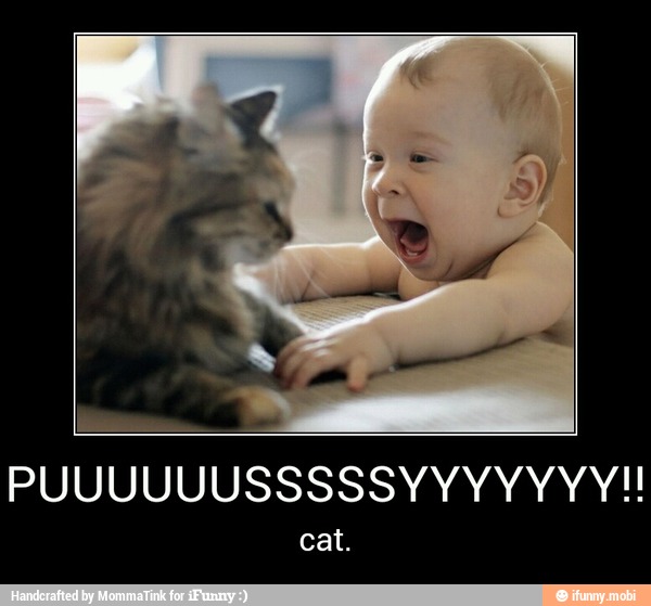 PA
PUUUUUUSSSSSYYYYYYY!!
cat. - PUUUUUUSSSSSYYYYYYY!!
cat.