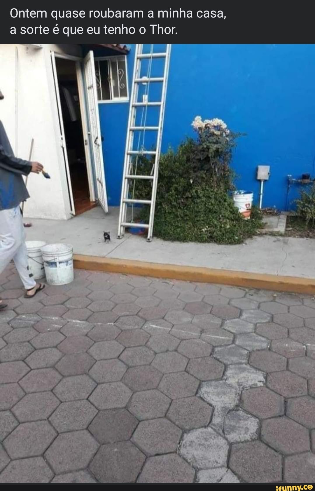 Ontem quase roubaram a minha casa, a sorte é que eu tenho o Thor.