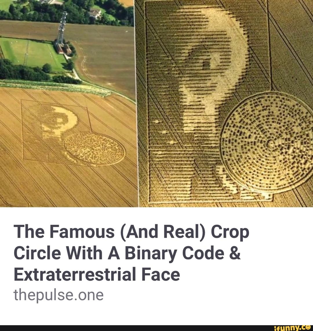 The Famous (And Real) Crop Circle With A Binary Code & Extraterrestrial ...