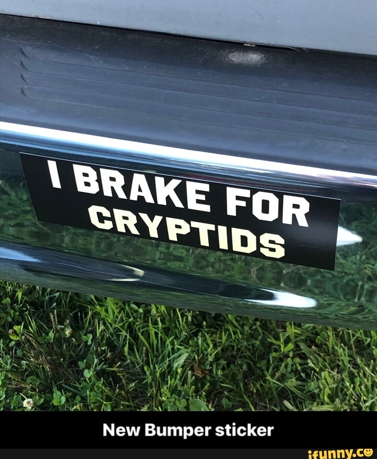 Cee
RY
SE
a Bu AAN Y
New Bumper sticker - New Bumper sticker