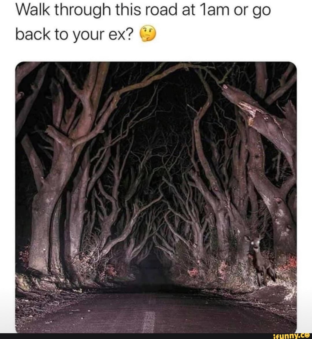 Walk Through This Road At Lam Or Go Back To Your Ex Ifunny