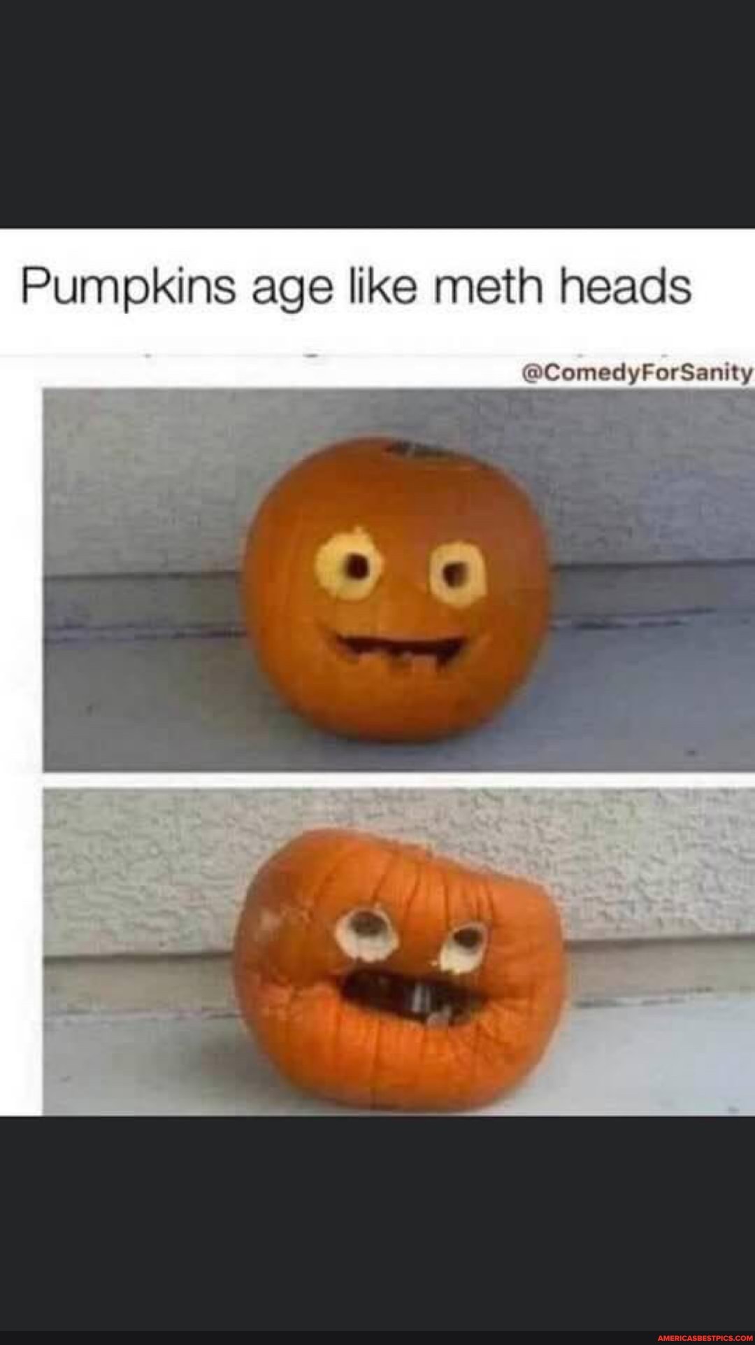 Pumpkins age like meth heads
@ComedyForSanity