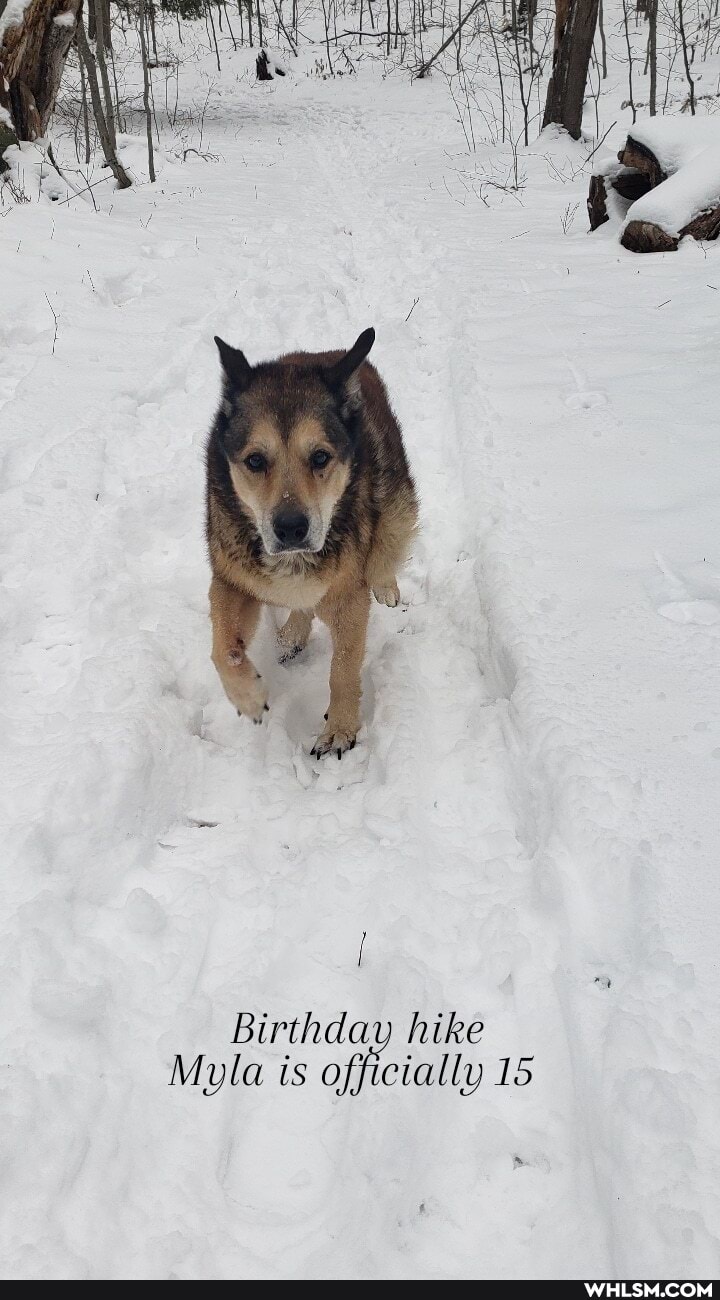 Birthday hike
Myla is officially 15