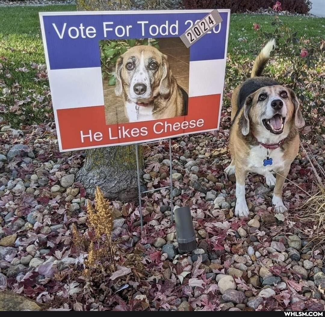 ES)
Os
Vote For