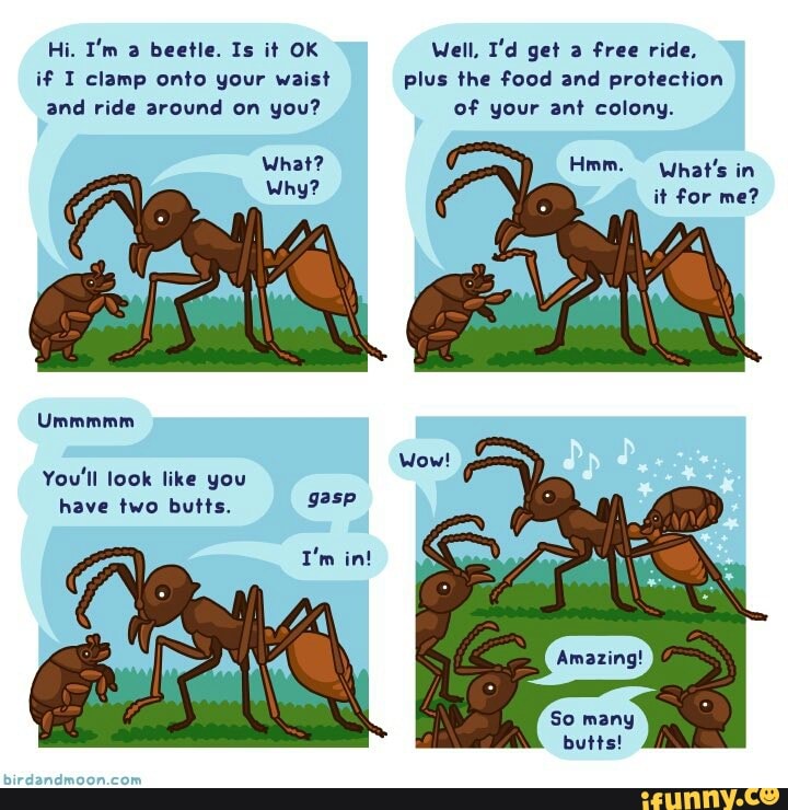 Hi. I'm a beetle. Is it OK Well, I'd get a free ride, if I clamp onto your waist plus the food and protection and ride around on you? of your ant colony.
What? Hmm. What's in
Why? it for me?
Ummmmm
You'll look like you have two butts.
int
So many butts!
IN