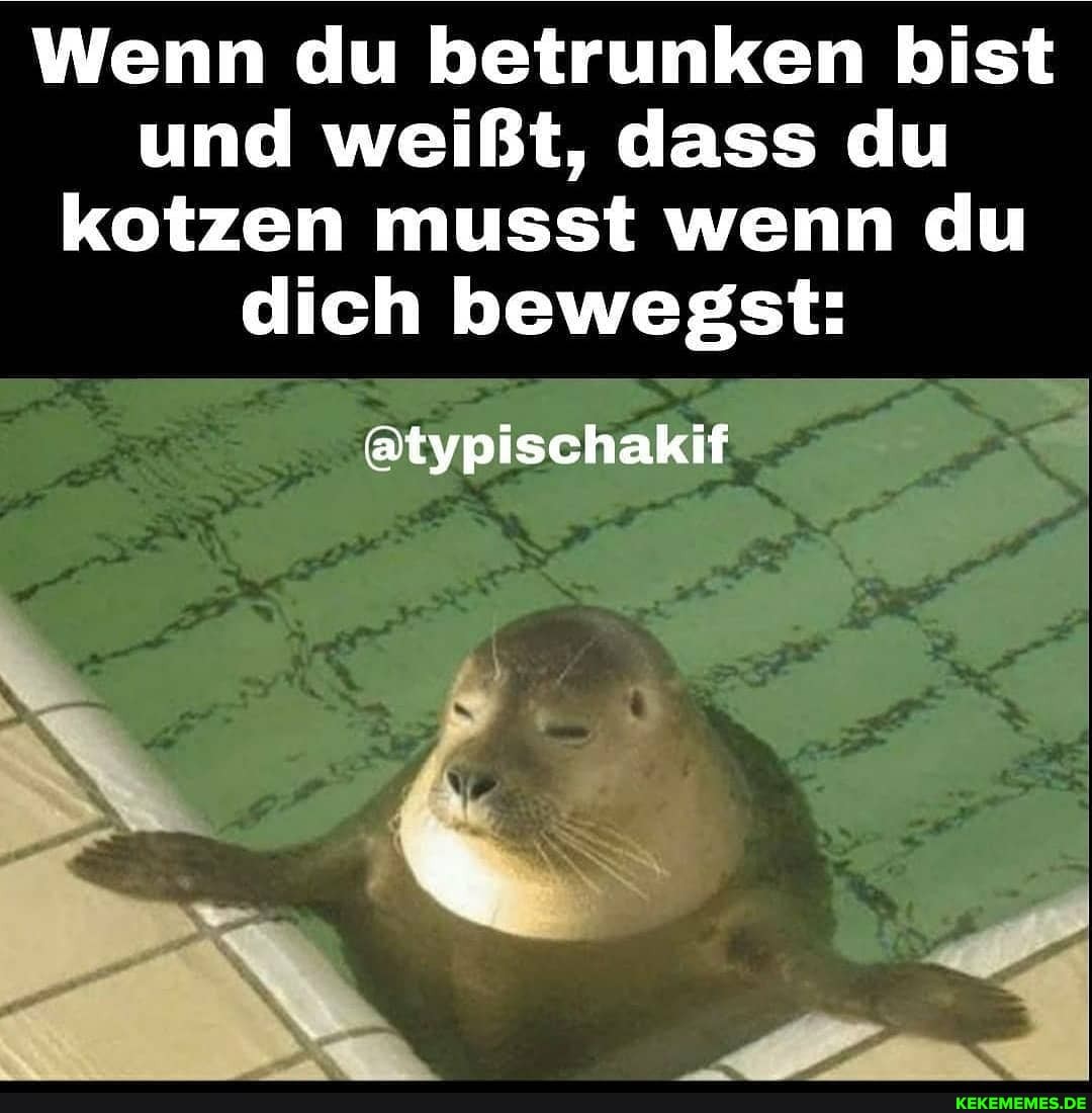 Wenn du betrunken bist
und weißt, dass du kotzen musst wenn du
dich bewegst:
@typischakif