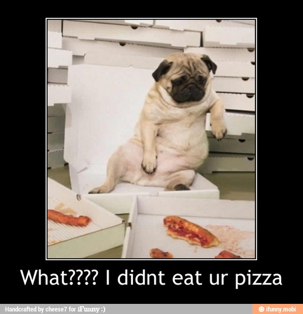 What???? I didnt eat ur pizza - What???? I didnt eat ur pizza