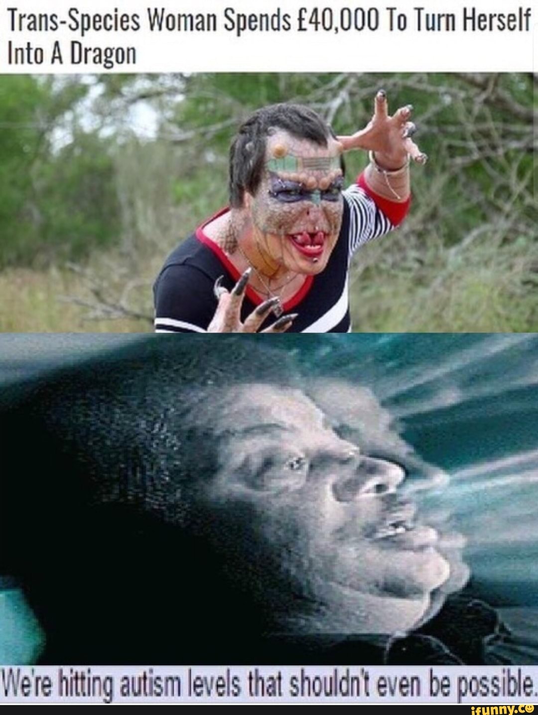 TransSpecies Woman Spends To Turn Herself Into A Dragon Were hitting