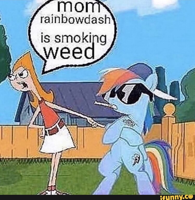 Y
rainbowdash
is smoking