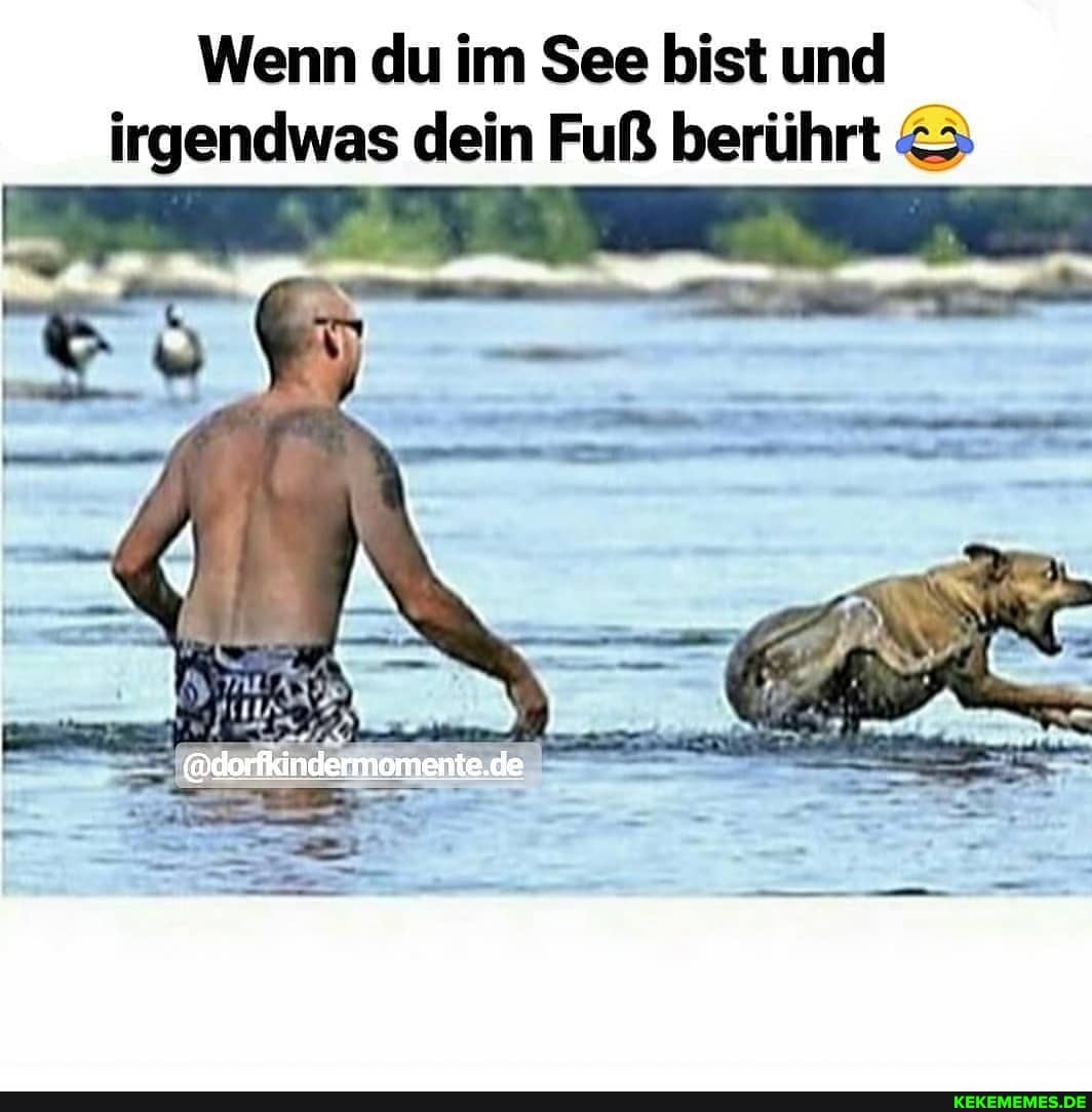 Wenn du im See bist und irgendwas dein Fuß berührt