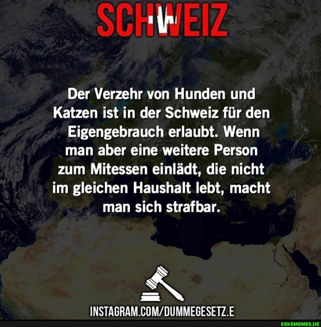 Der Verzehr von Hunden und
Katzen ist in der Schweiz für den
Eigengebrauch erlaubt. Wenn man aber eine weitere Person zum Mitessen einlädt, die nicht im gleichen Haushalt lebt, macht man sich strafbar.
INSTAGRAM E
