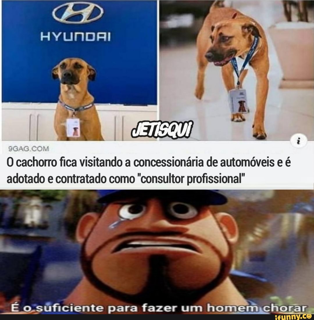 EM
O cachorro fica visitando a concessionária de automóveis e é adotado e contratado como "consultor profissional"
Eosúficiente para fazer um chorar