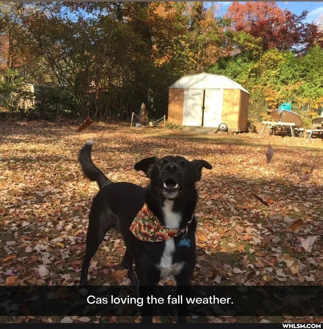 Gas loving the fall weather.