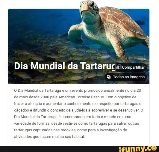 Dia Mundial da Tartaruc Todas as imagens O Dia Mundial da Tartaruga é ...