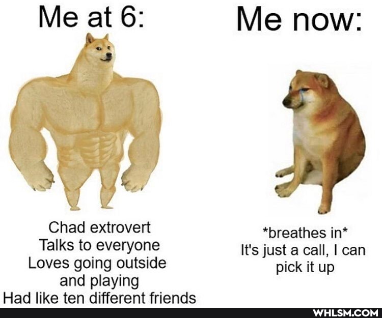 Me at 6: Me now:
Chad extrovert *breathes in*
Talks to everyone It's just a call, I can
Loves going outside pick it up and playing
Lined