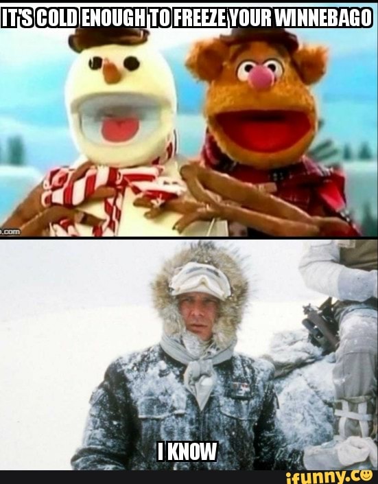 Muppetfamilychristmas memes. Best Collection of funny