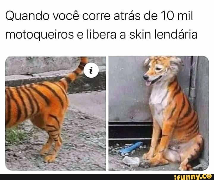 Quando você corre atrás de 10 mil motoqueiros e libera a skin lendária