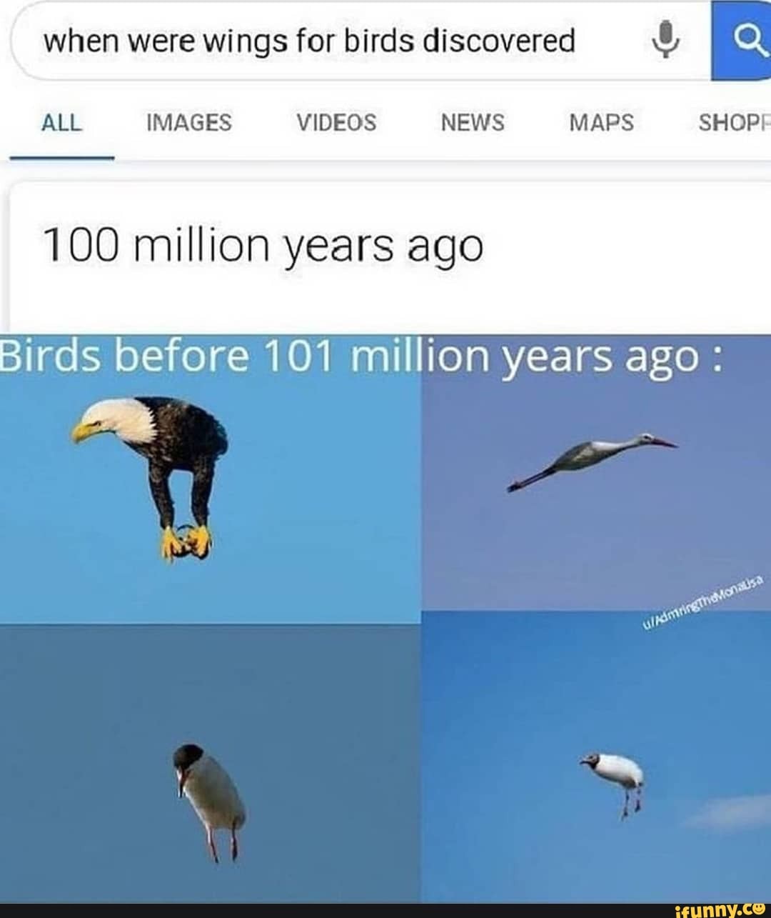 When were wings for birds discovered 100 million years ago Birds before