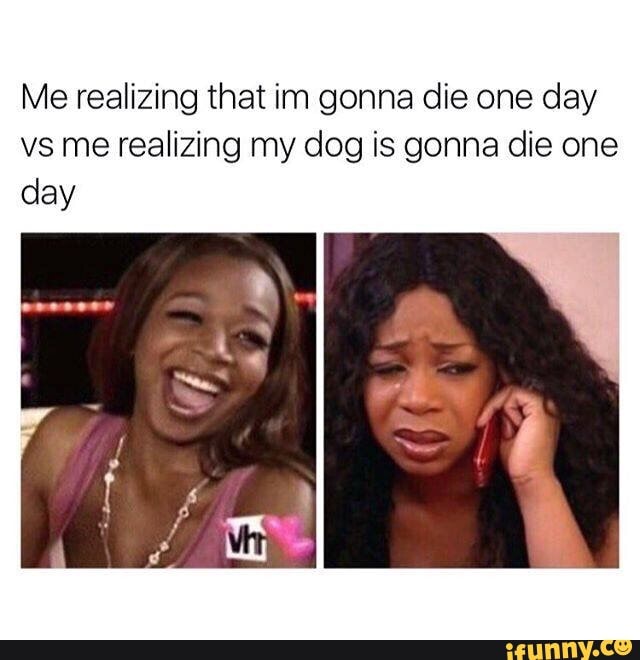 Me realizing that im gonna die one day vs me realizing my dog is gonna