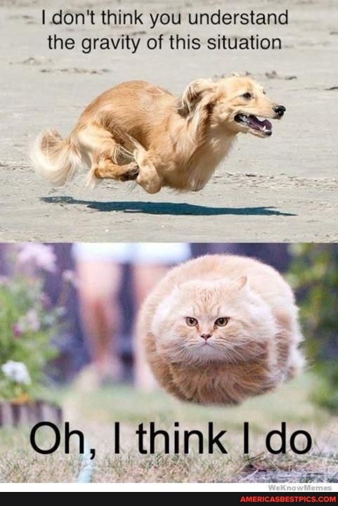 [don't think you understand the gravity of this situation