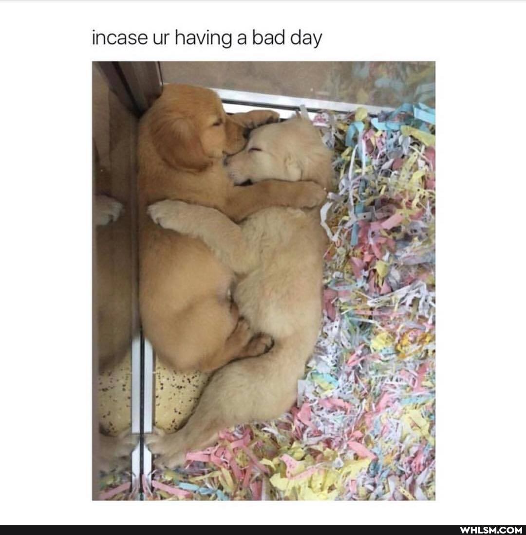 incase ur having a bad day