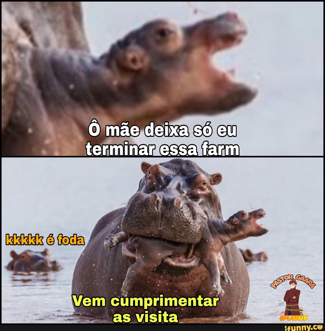 Ô mãe deixa só eu terminar essa farm
as Visita