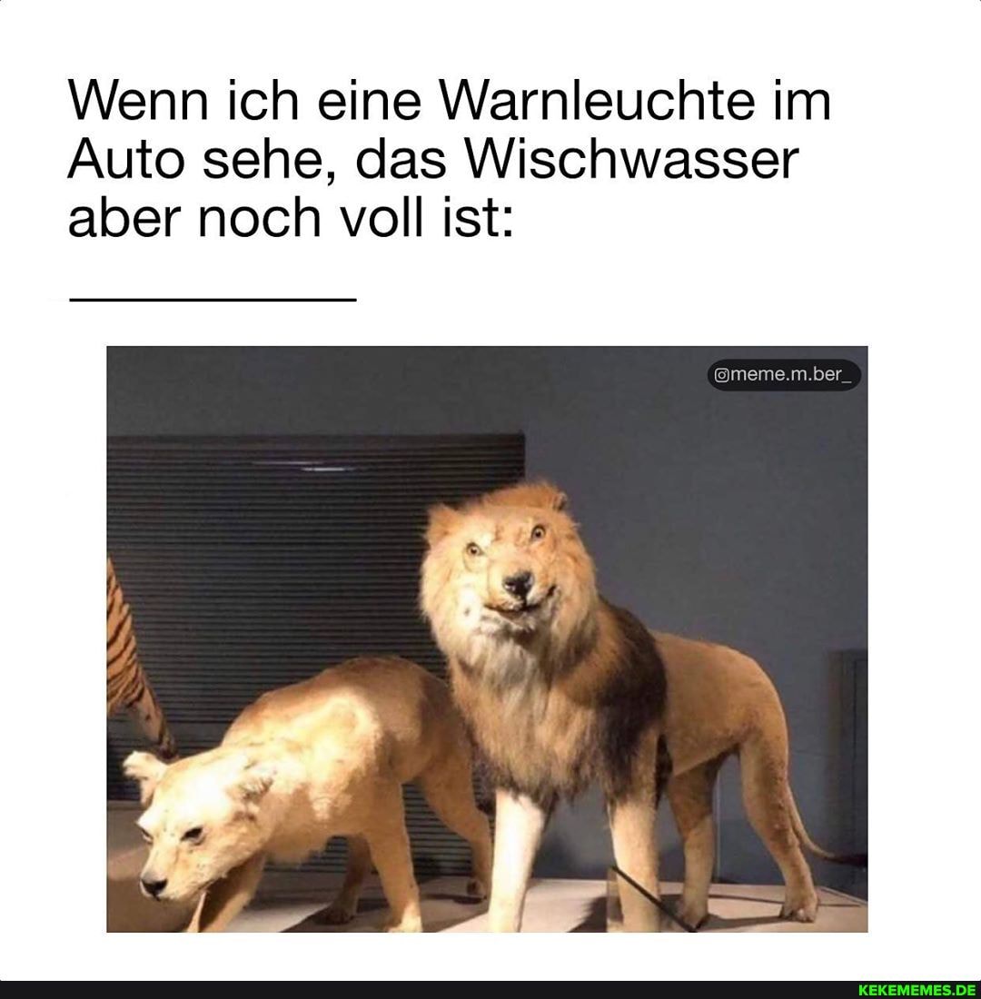 Wenn ich eine Warnleuchte im
Auto sehe, das Wischwasser aber noch voll ist: