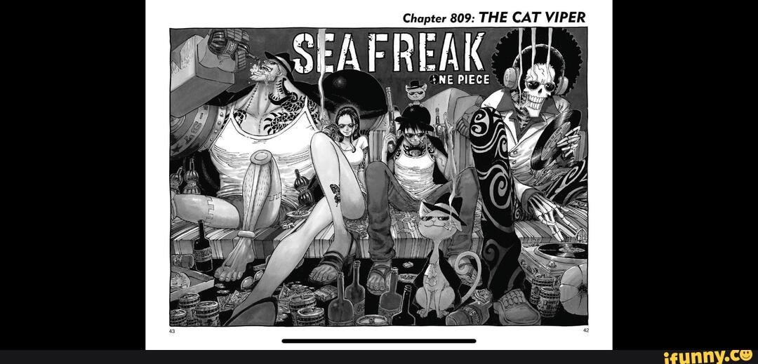 Chapter 809 The Cat Viper Re Ne Piece