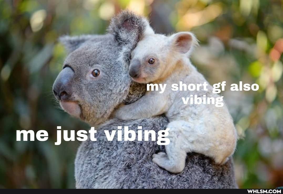 my my short gf also vibing
me just vibing
