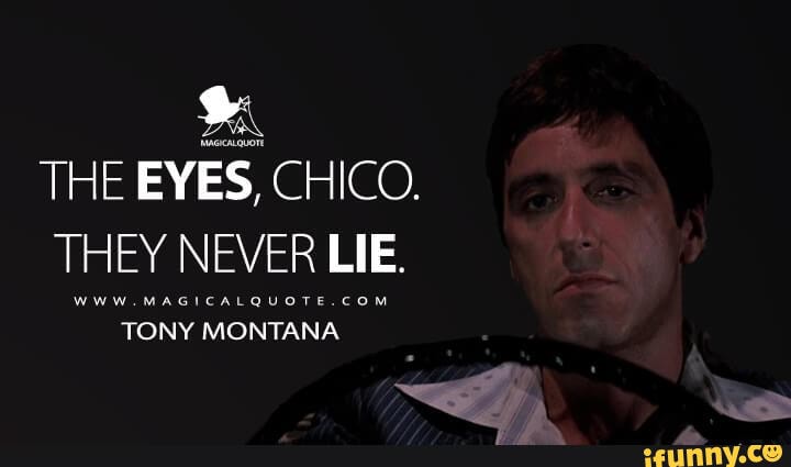THE EYES, CHICO.
THEY NEVER LIE.
Www MAGICALQUOTE COM
TONY MONTANA